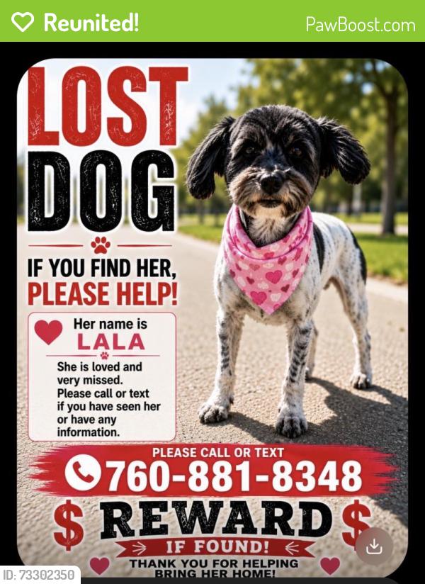 Reunited Female Dog last seen Delgado rd, Victorville, CA 92392