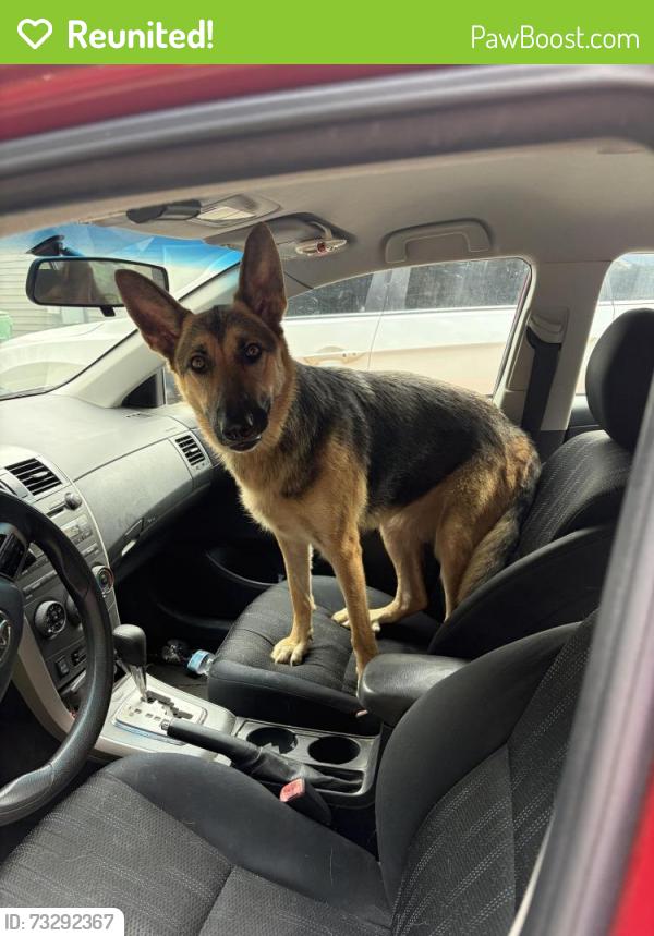 Reunited Female Dog last seen Rock Springs Baptist Church, Blacksburg, SC 29702
