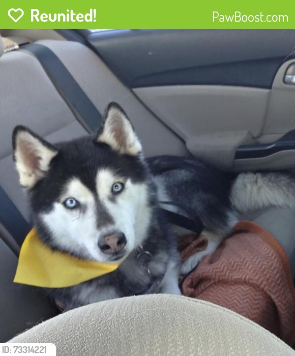 Reunited Male Dog last seen Oden dr and Alameda Ave, Socorro, TX 79927