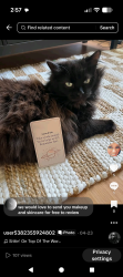 Lost Female Cat last seen Holmes and cariboo road, Burnaby, BC V3N 4B6