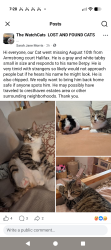 Lost Male Cat last seen Kearney lake rd/Clayton Park /Grosvenor Wentworth elementary School, Halifax, NS B3M 4N5