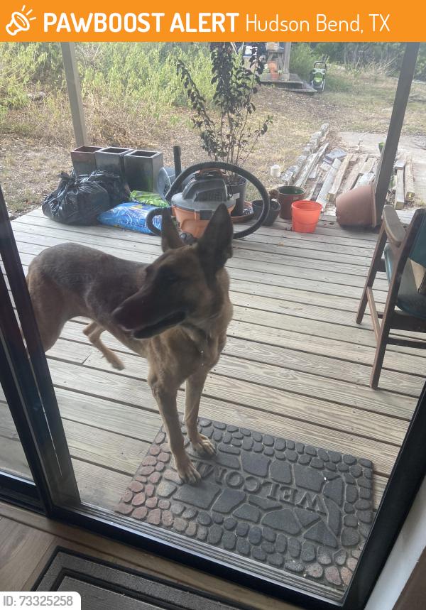 Found/Stray Unknown Dog last seen Hornsby Hill & McCormacy Mountain Drive, Hudson Bend, TX 78734