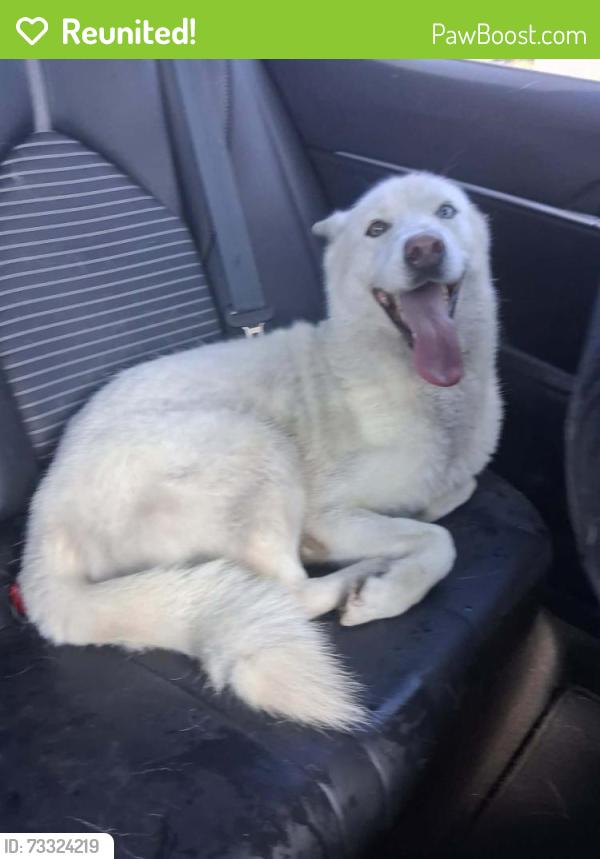 Reunited Female Dog last seen 38th st and ocean view, San Diego, CA 92113