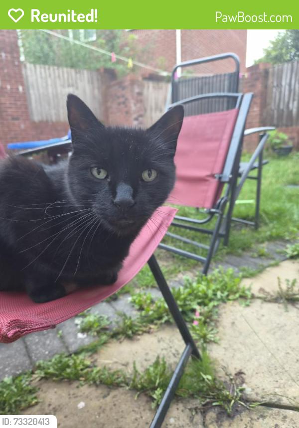 Reunited Male Cat last seen Premier Shop, West Midlands, England WV14