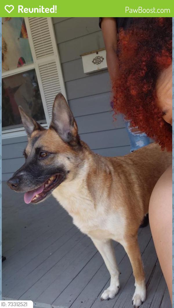 Reunited Female Dog last seen Hardings, Niles, MI 49120