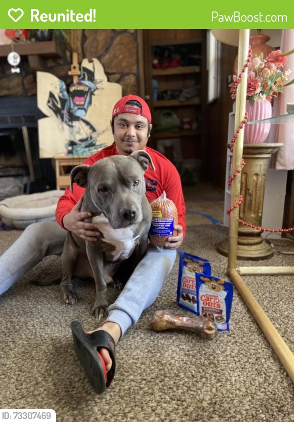 Reunited Male Dog last seen Britton & Western, Oklahoma City, OK 73114