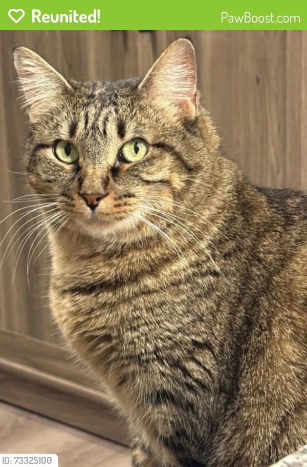 Reunited Female Cat last seen Pavilion at North Grounds parking garage, Charlottesville, VA 22903