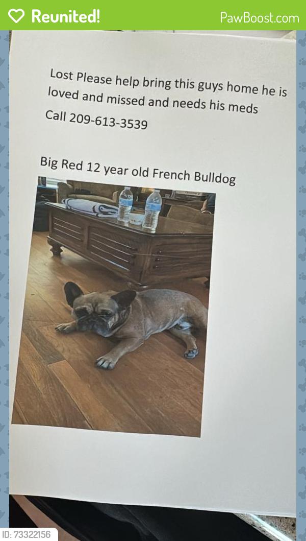 Reunited Male Dog last seen Burke and sunrise modesto, Modesto, CA 95350