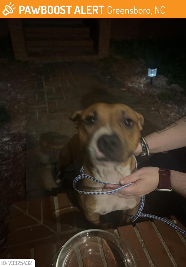 Found/Stray Male Dog last seen BP on the corner of Gate City and Merritt Dr, Greensboro, NC 27407