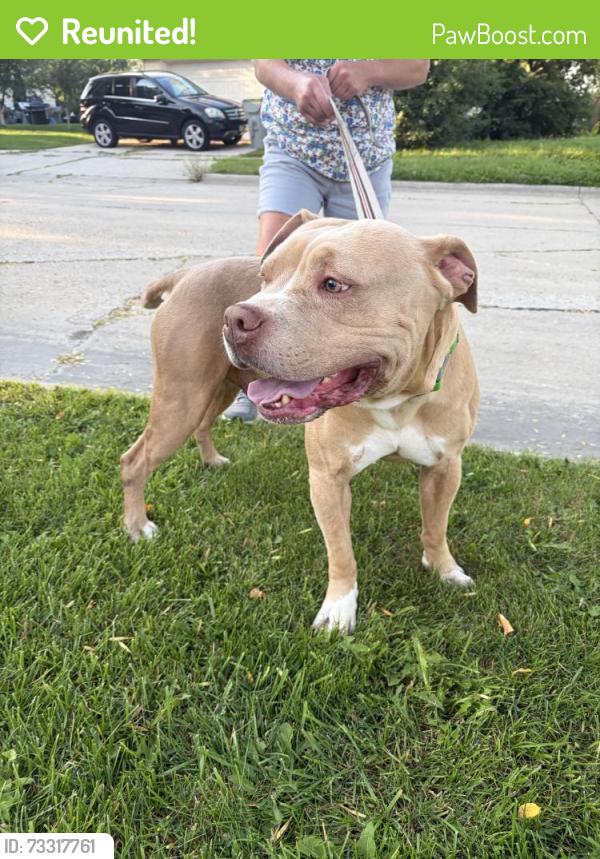 Reunited Male Dog last seen 61st and Montana, Milwaukee, WI 53219