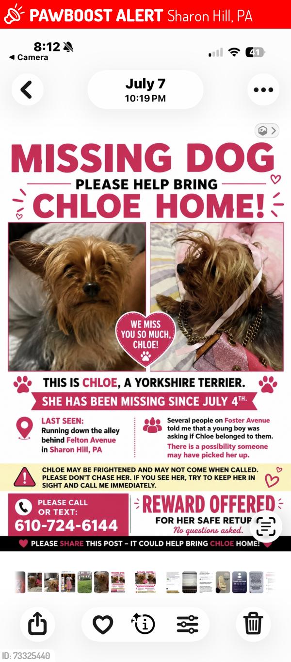 Lost Female Dog last seen Chester pike, Sharon Hill, PA 19079
