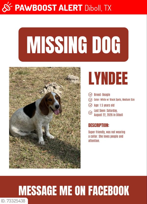 Lost Female Dog last seen Diboll relief route, Diboll, TX 75941