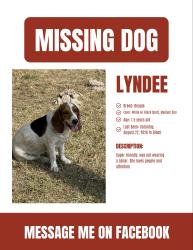 Lost Female Dog last seen Diboll relief route, Diboll, TX 75941