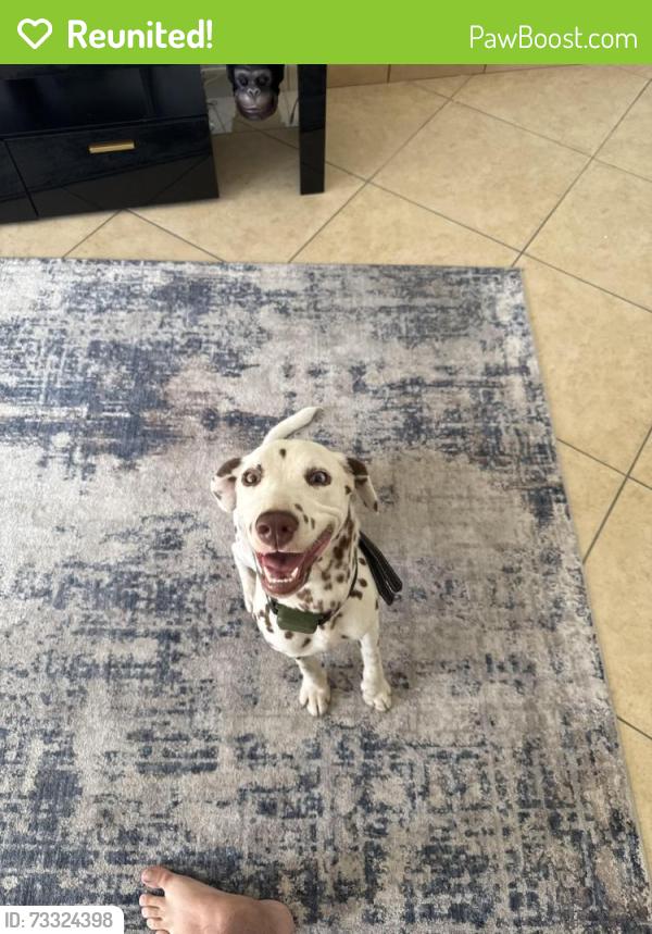 Reunited Female Dog last seen Craig rupp k9 dog park, Pembroke Pines, FL 33024