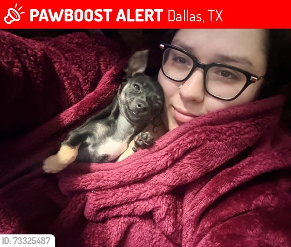 Lost Female Dog last seen Lake June rd, Dallas, TX 75217