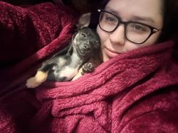 Lost Female Dog last seen Lake June rd, Dallas, TX 75217