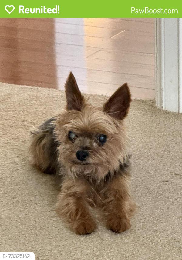 Reunited Male Dog last seen Sweet Cicely Ct, Houston, TX 77059