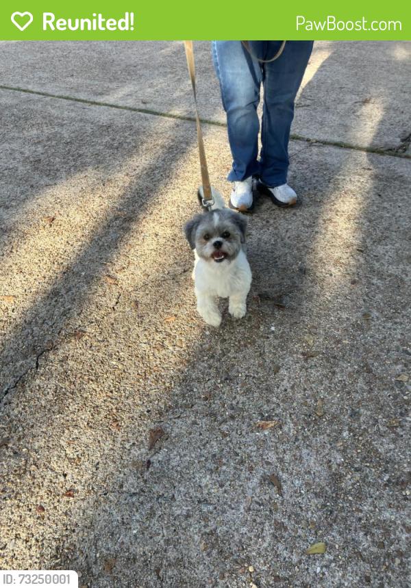 Reunited Unknown Dog last seen Lyndonville drive and Canaan Bridge, Houston, TX 77041