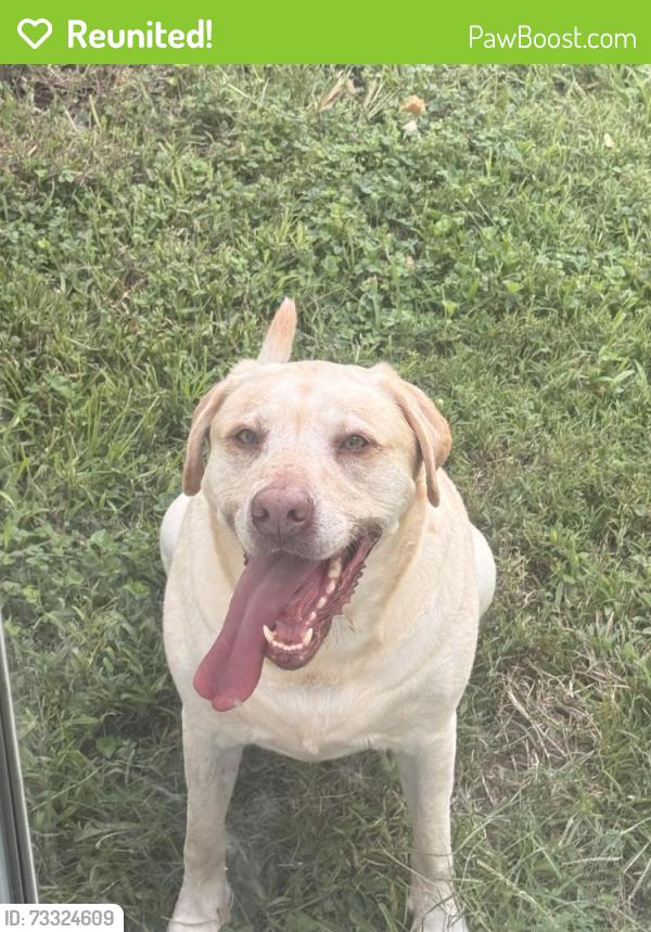 Reunited Male Dog last seen Greenwell Rd, Virginia Beach, VA 23455