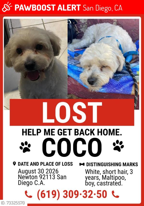 Lost Male Dog last seen Newton 92113 San Diego, San Diego, CA 92113