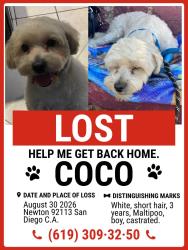Lost Male Dog last seen Newton 92113 San Diego, San Diego, CA 92113