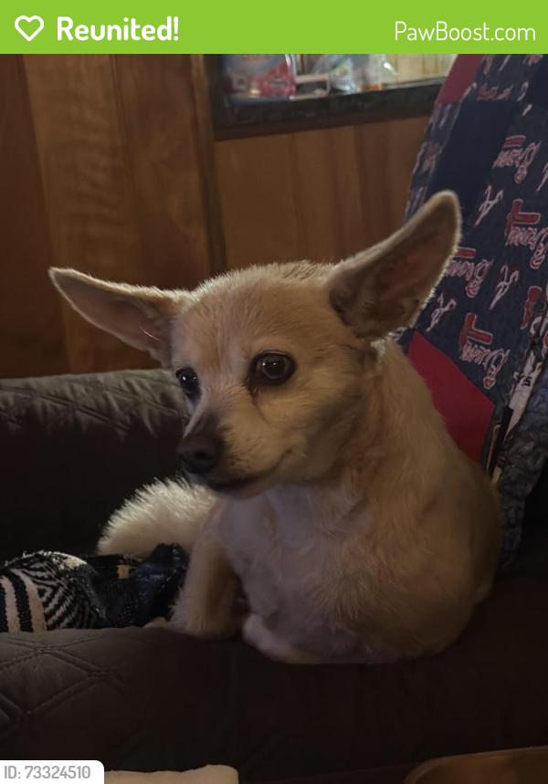 Reunited Male Dog last seen Eubank and Comanche, Albuquerque, NM 87111