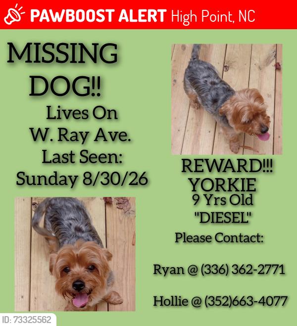 Lost Male Dog last seen Rotary Dr., Vera Ct., W. Ray Ave., High Point, NC 27262