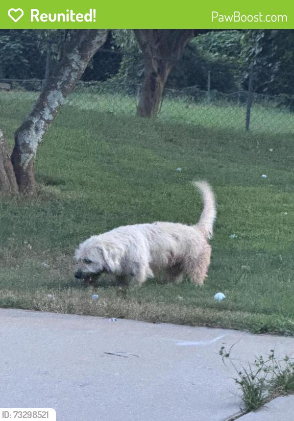 Reunited Unknown Dog last seen Mcever Rd, Gainesville, GA 30504
