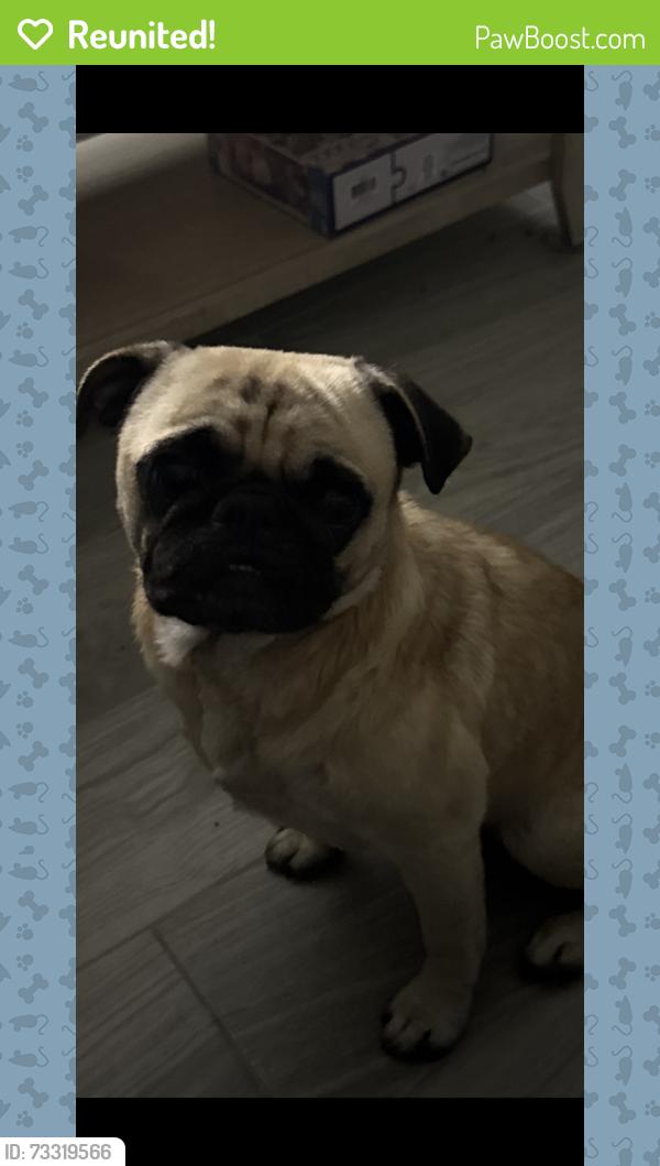 Reunited Male Dog last seen Near, Conroe, TX 77306