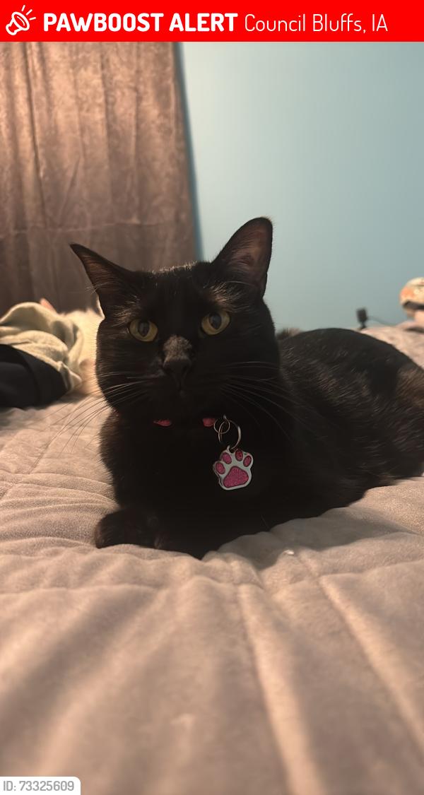 Lost Female Cat last seen Bahnsen Park, Council Bluffs, IA 51501