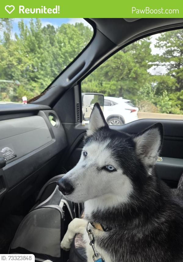 Reunited Unknown Dog last seen Carolina Waterfowl Rescue, Indian Trail, Indian Trail, NC 28079