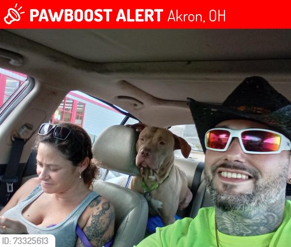 Lost Male Dog last seen Goodyear heights, Akron, OH 44305