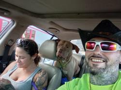 Lost Male Dog last seen Goodyear heights, Akron, OH 44305