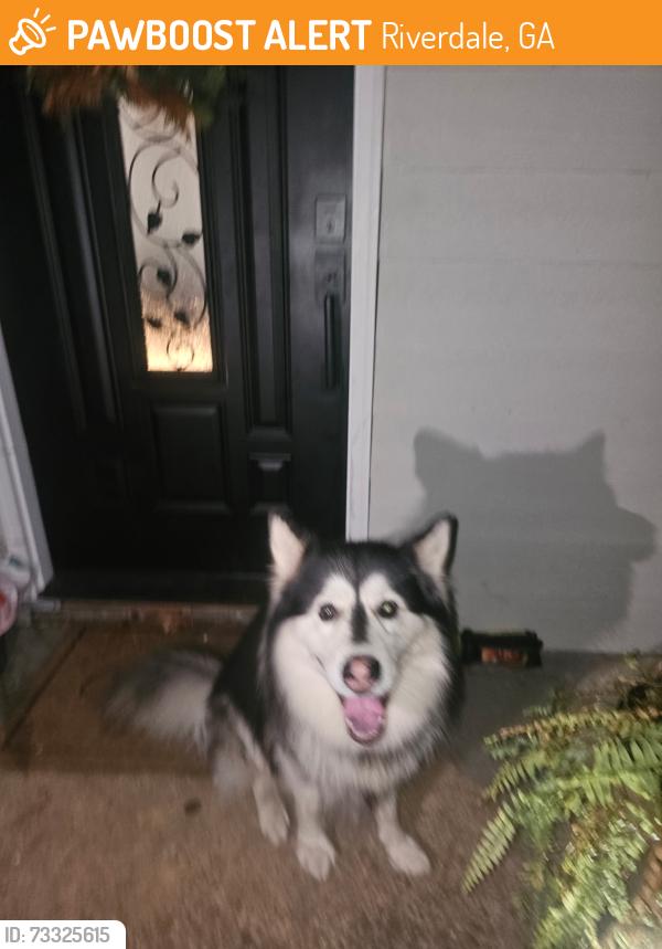 Found/Stray Male Dog last seen Cedar creek ln, Riverdale, GA 30296