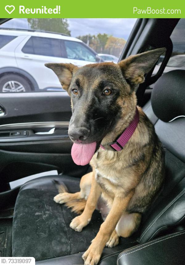 Reunited Female Dog last seen Cantina Dr and Eagle Ranch Pkwy, Victorville, CA 92392