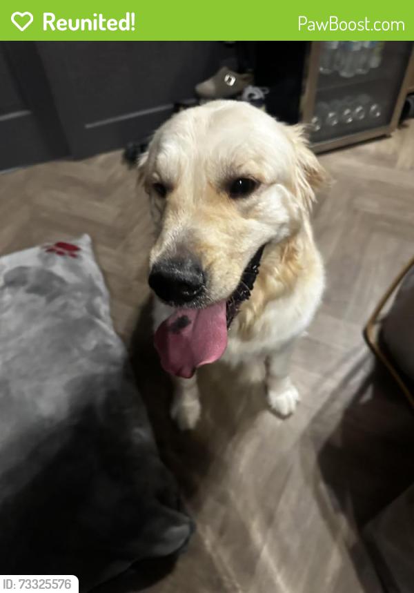 Reunited Male Dog last seen El Lago & palisades, Fountain Hills, AZ 85268