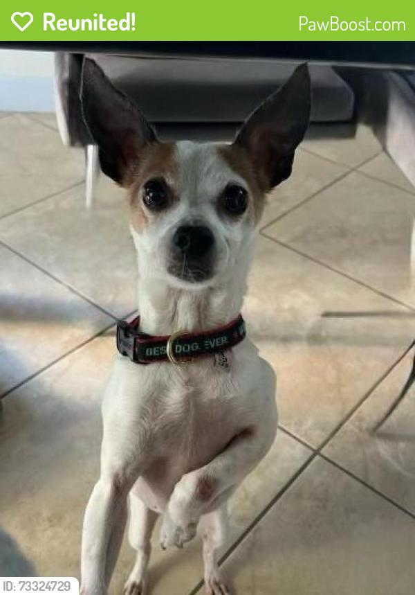 Reunited Male Dog last seen Isles at Bayshore in the Cove by the mail boxes, Cutler Bay, FL 33190