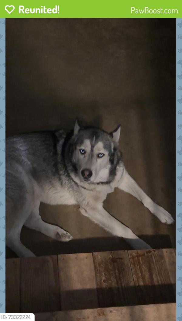 Reunited Male Dog last seen Near S Walker St, Mesquite, TX 75149, USA, Mesquite, TX 75149