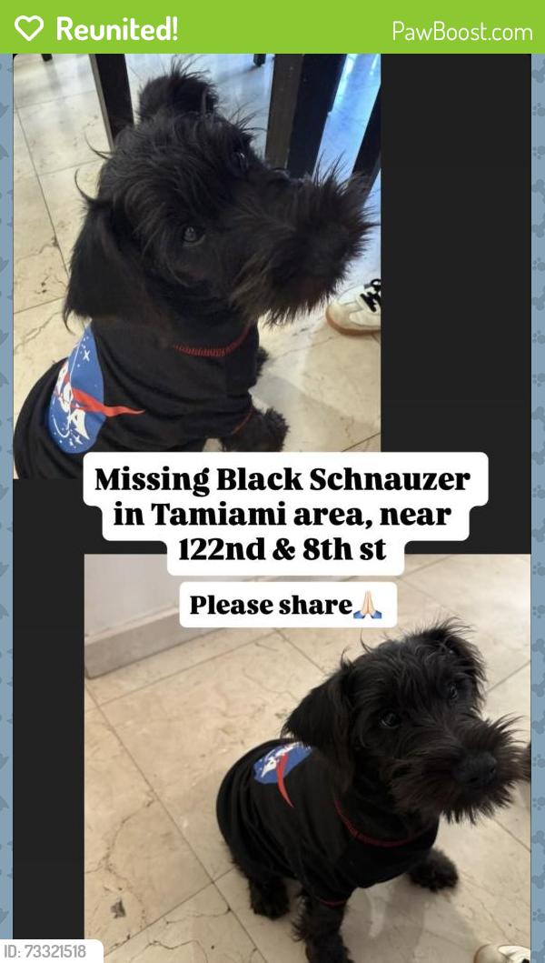 Reunited Male Dog last seen 122nd Ave and 8th st, Tamiami, FL 33184
