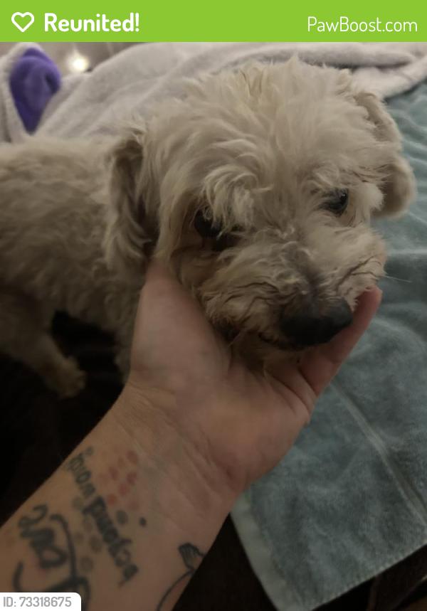 Reunited Unknown Dog last seen Juan Diego Ave, Las Cruces, NM 88001, USA, Las Cruces, NM 88001