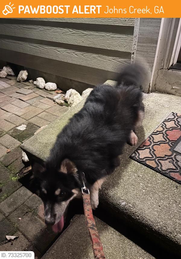 Found/Stray Unknown Dog last seen found on plantation bridge dr, Johns Creek, GA 30022