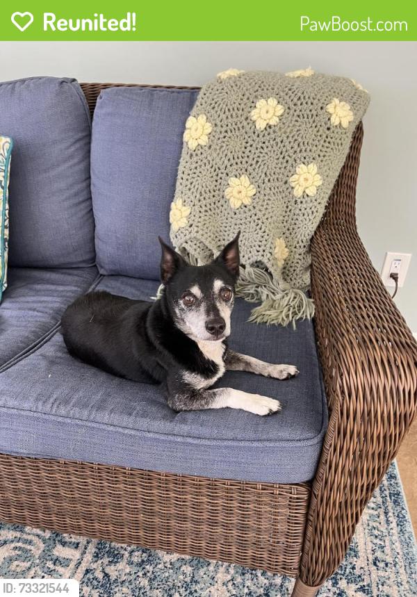 Reunited Male Dog last seen Hillwood Dr, Holly Dr, Shingle Springs, CA, Shingle Springs, CA 95682