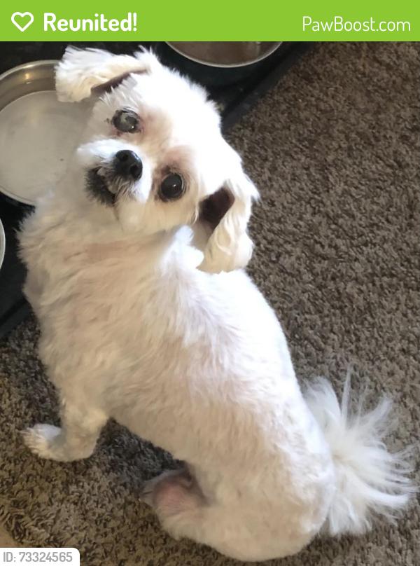 Reunited Female Dog last seen hmstd apmts, Greeley, CO 80634