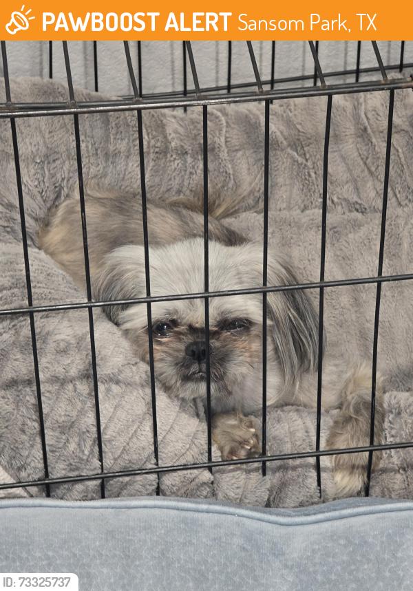 Found/Stray Unknown Dog last seen Near, Sansom Park, TX 76135