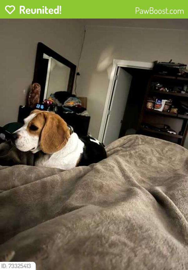 Reunited Female Dog last seen 10th Ave and 219th St, Ridgefield, WA 98642