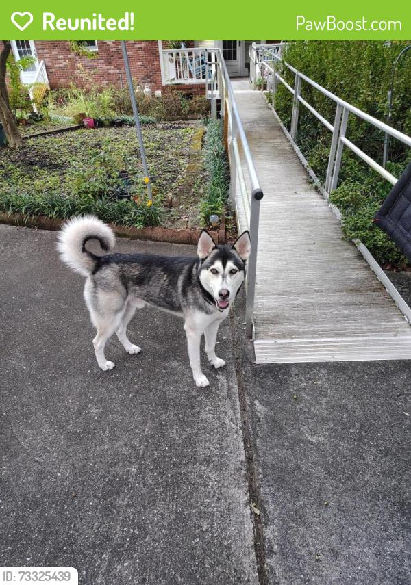 Reunited Male Dog last seen Village, Leland, NC 28451