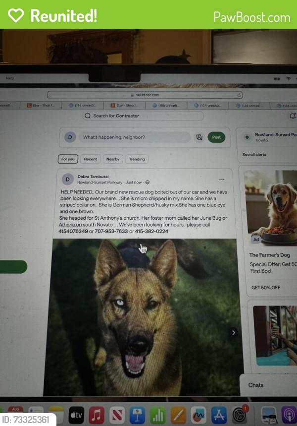 Reunited Female Dog last seen redwood, Palmer, Novato, CA 94947