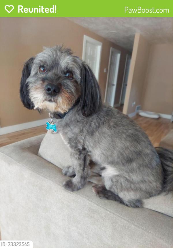 Reunited Male Dog last seen Pizza hut, West Valley City, UT 84119