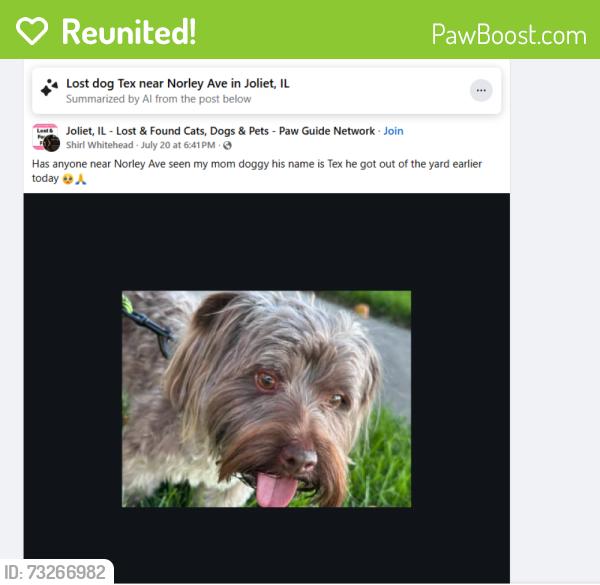 Reunited Male Dog last seen NORLEY AVE JOLIET IL, Joliet, IL 60435