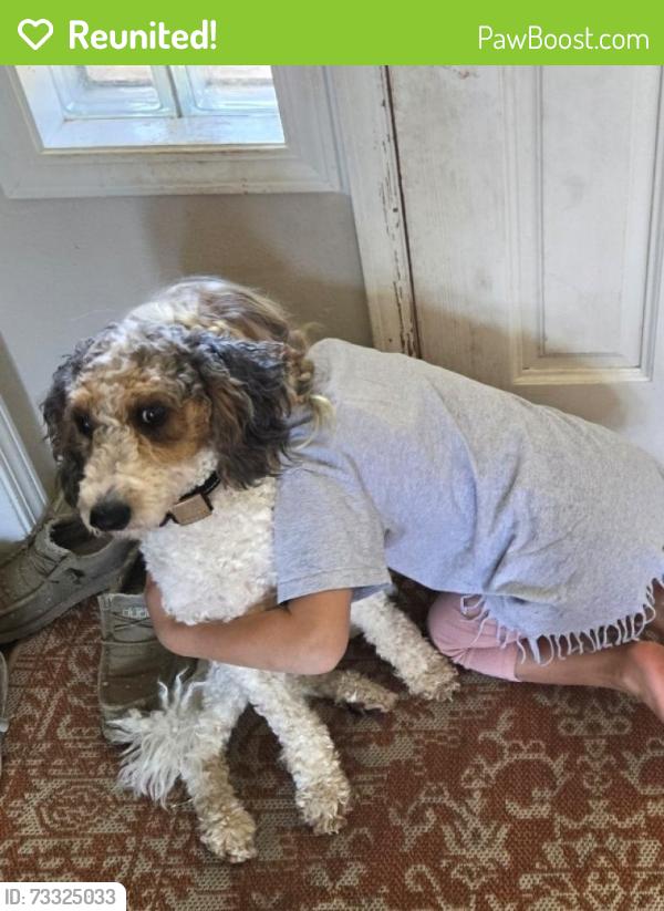 Reunited Female Dog last seen 72nd and 179th/ john deer, Vancouver, WA 98686